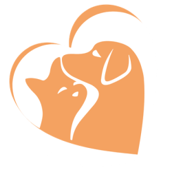 Love Joy Pet